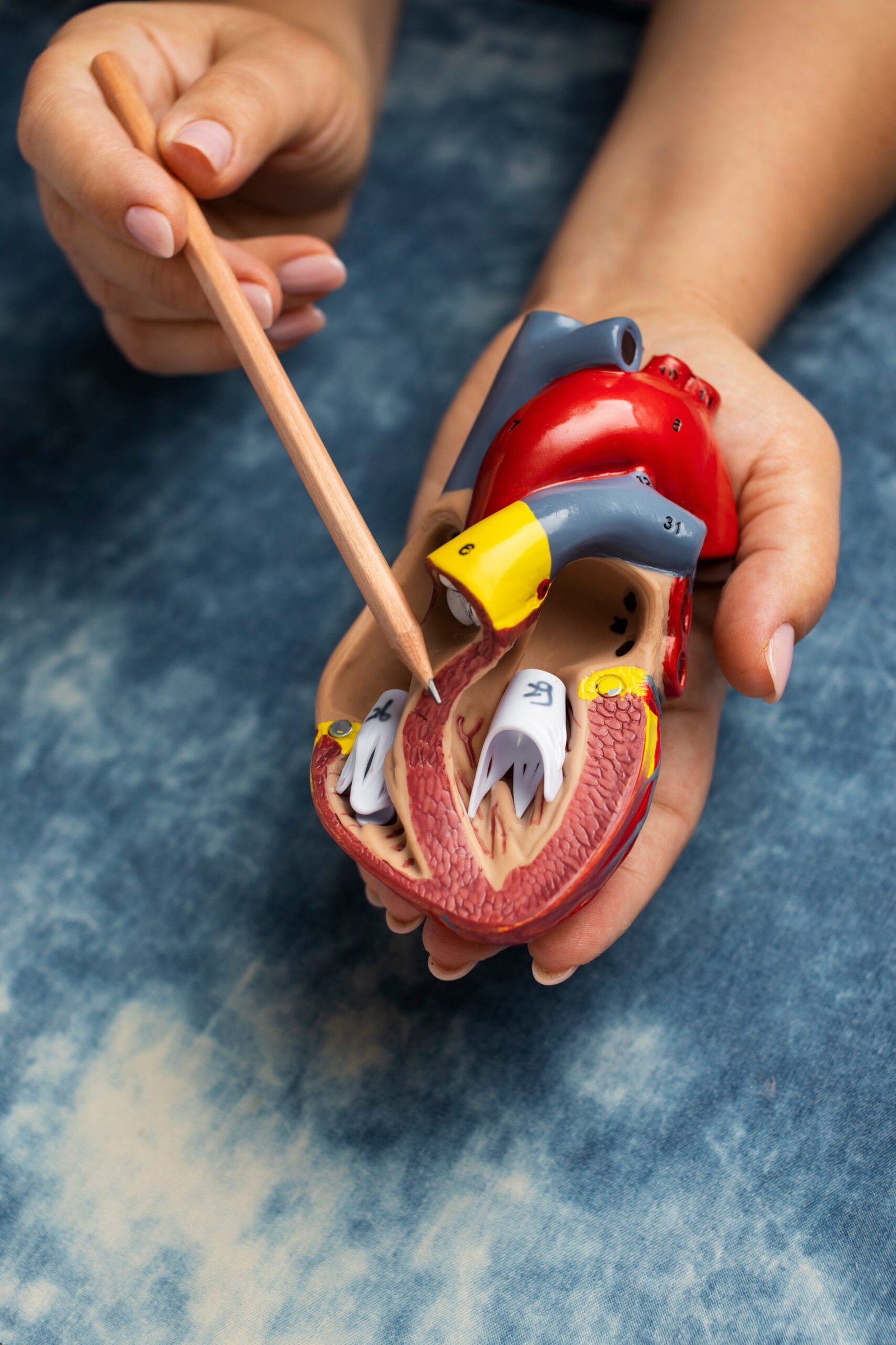 ADPKD & Rare Kidney Diseases