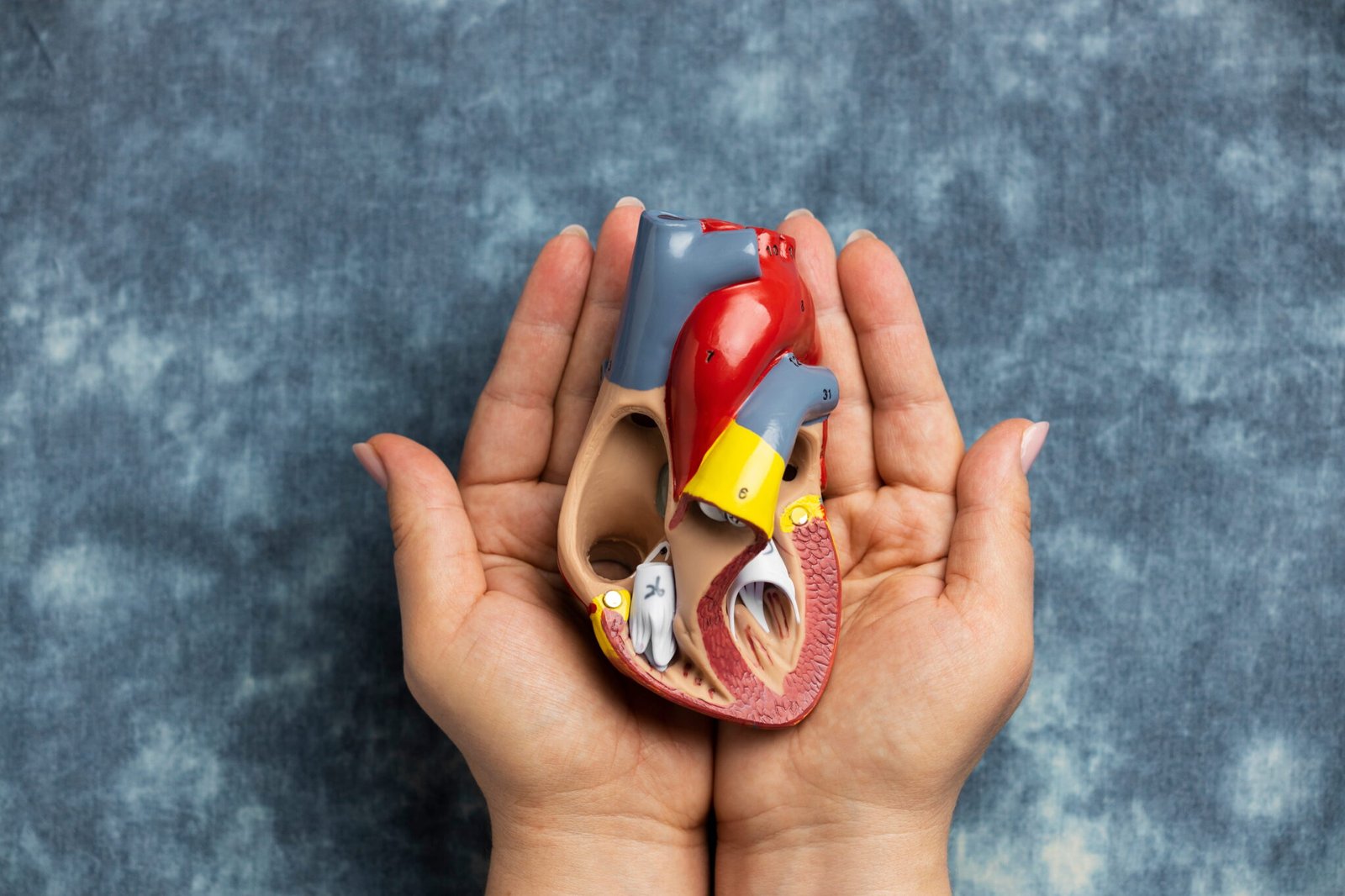 Kidney and Heart Health